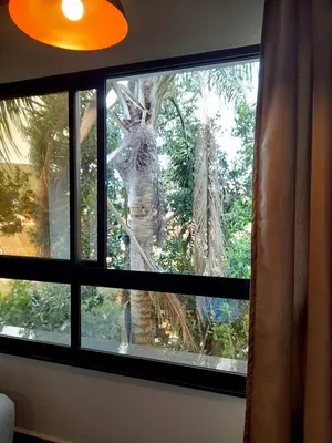 A planta de Lindo Estúdio- ROBALO Aconchegante apto Bombinhas