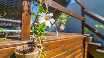 Um jardim no exterior de Residencial com Piscina e Jacuzzi com vista para a Natureza