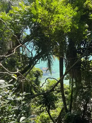 Paisagem natural perto da casa de férias