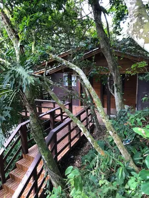 Um jardim no exterior de casa praia miseria
