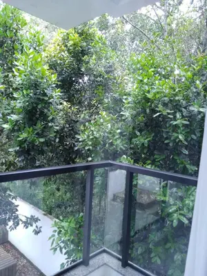 Um jardim no exterior de Casa geminada 2 no Mariscal