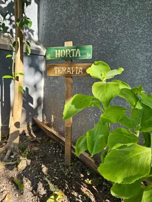 A planta de GREY HOUSE, o seu refúgio em Canto Grande