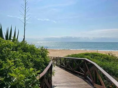 Paisagem natural perto da casa de férias