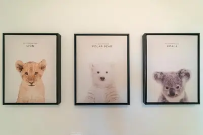 Animais no apartamento ou nos arredores