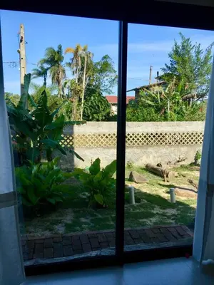 Um jardim no exterior de casa natureza Mariscal