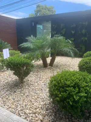 Um jardim no exterior de Encanto dos Mares - Apartamento premium 4