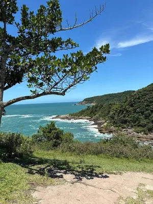 A planta de 194 - Maravilhoso Dúplex Garden 04 dormitórios em Mariscal