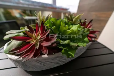 A planta de Mario Guilherme - Apto 202 - Lindo apartamento condomínio de alto padrão com piscina e academia.