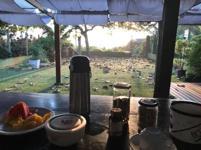 Um jardim no exterior de Linda Casa frente mar, pé na areia, Itapema SC, Ar, Wi-fi, Smart Tv
